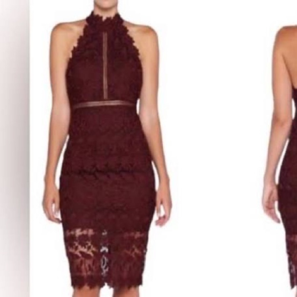Bardot burgundy Lace Panel Sheath Mini Dress 10 Large